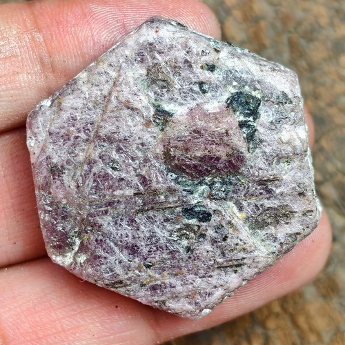 Cabochon custode disco - , rubino