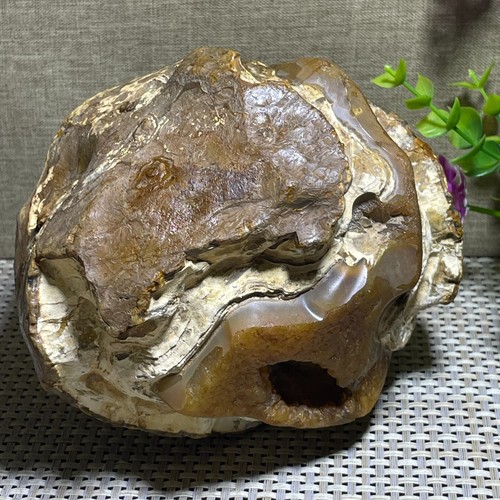 Bonsai suiseki 2836g pietra - bonsai,