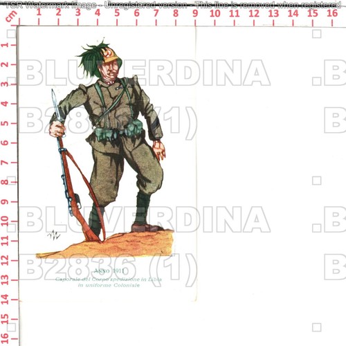 B2836 militare bersaglieri - b2836, 7